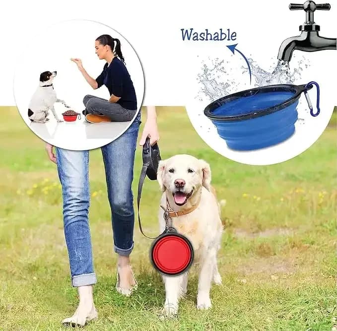 Collapsible Dog Bowl 4