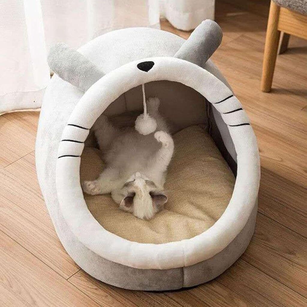 Bed 4