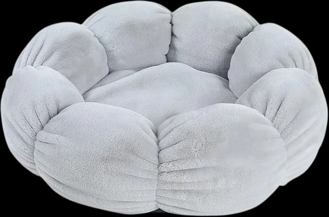 Pet Bed