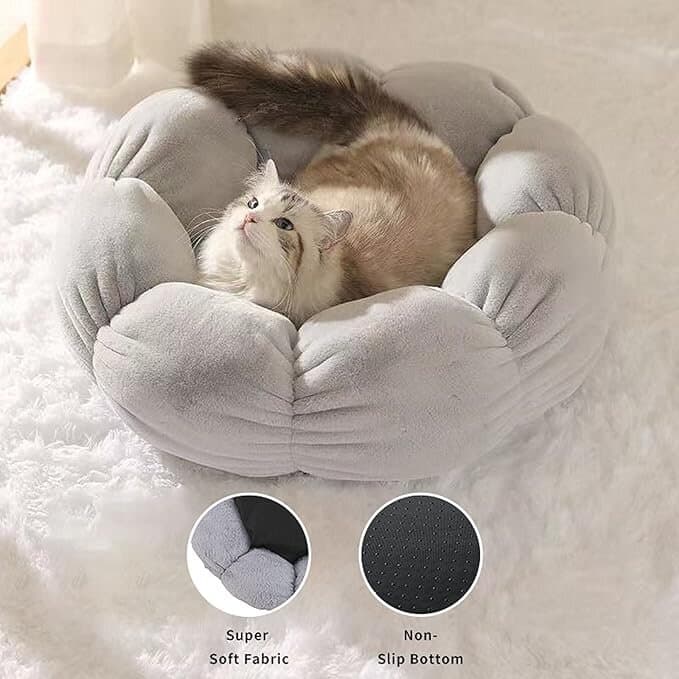 Pet Bed 3