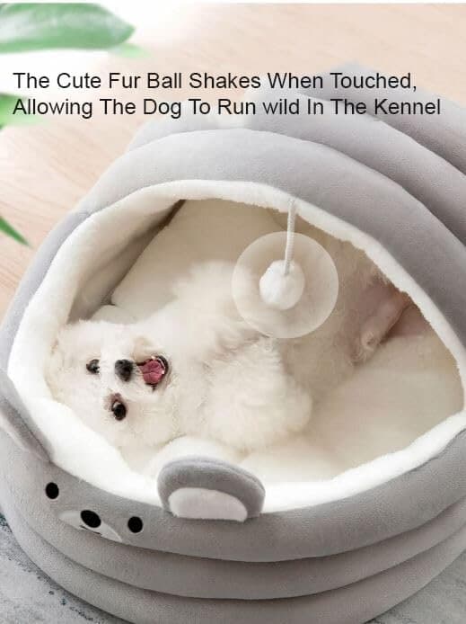 Pet Bed 2