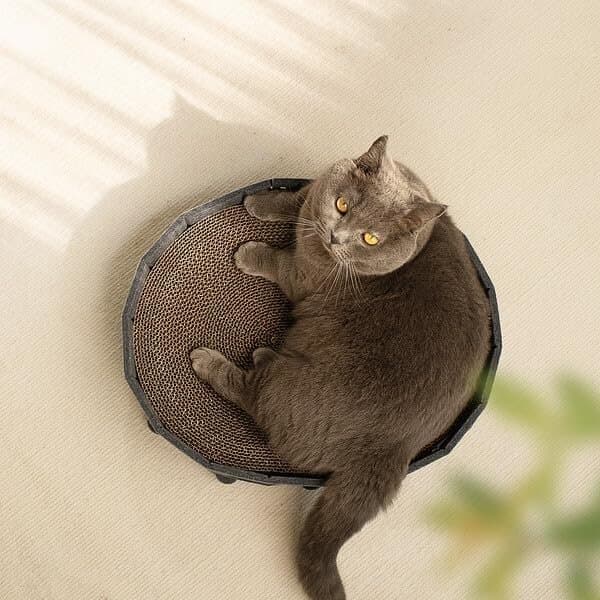 Cat Scratcher House 7