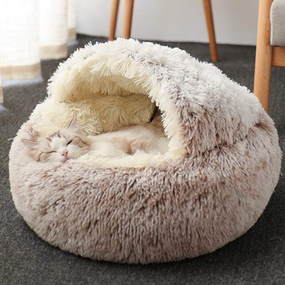Pet Bed 2