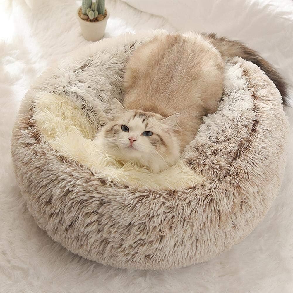 Pet Bed 4