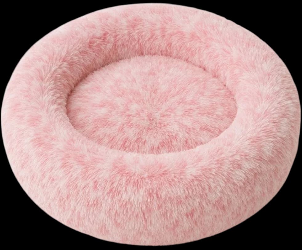Pet Bed