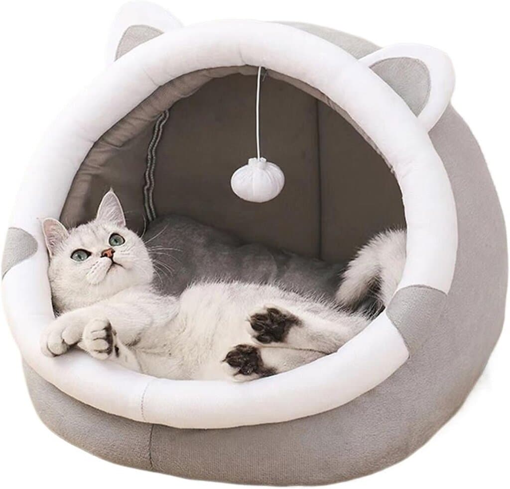 Bed 6