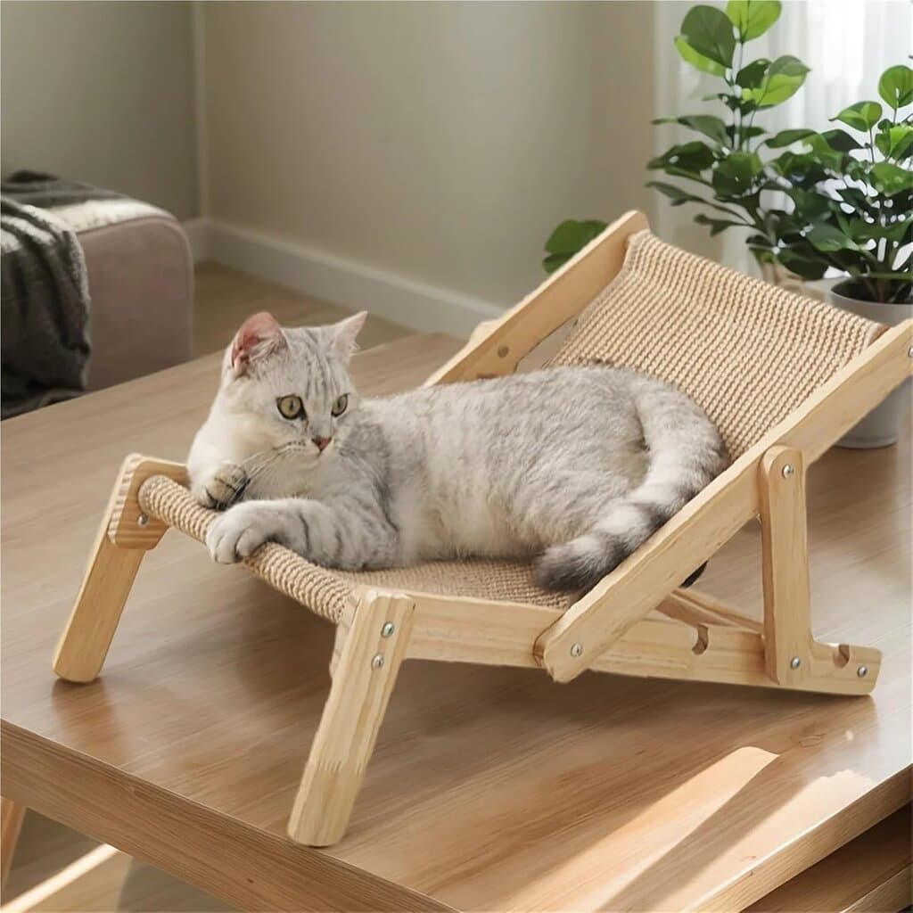 Cat Chair 4
