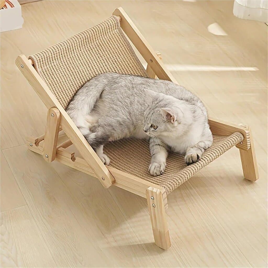 Cat Chair 5