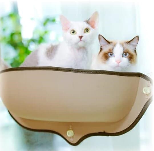 Cat Window Bed - 69x28cm 2