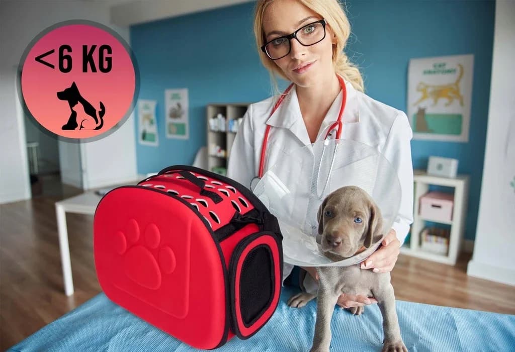 Car pet cage 6
