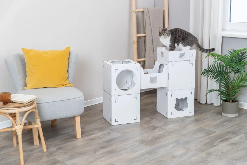 Cat Bed & house 4