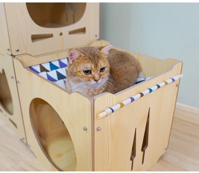 Cat House