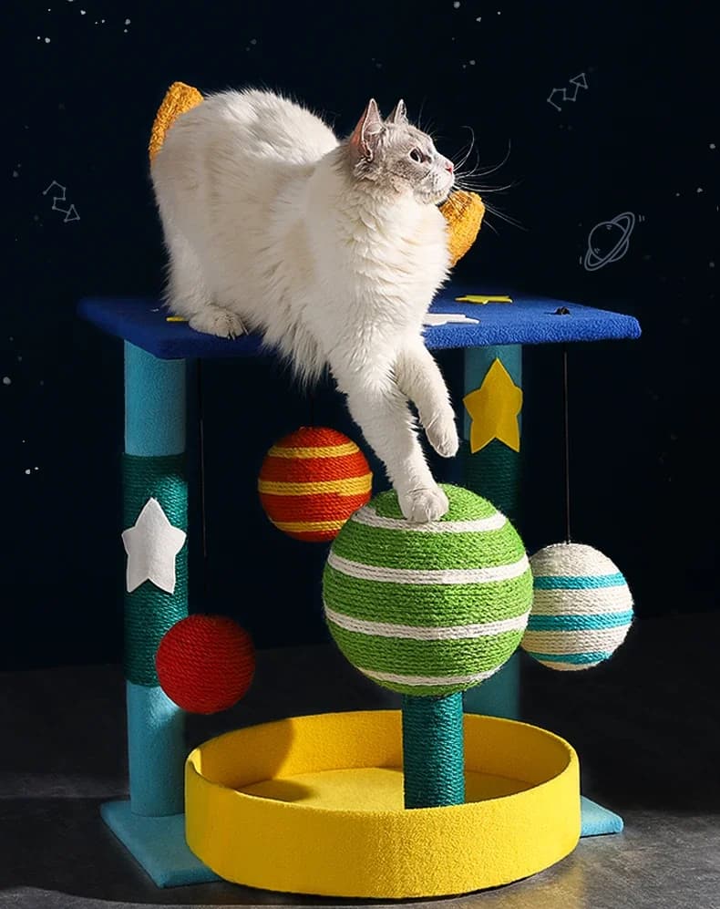Cat Tree, House and Scratcher 3