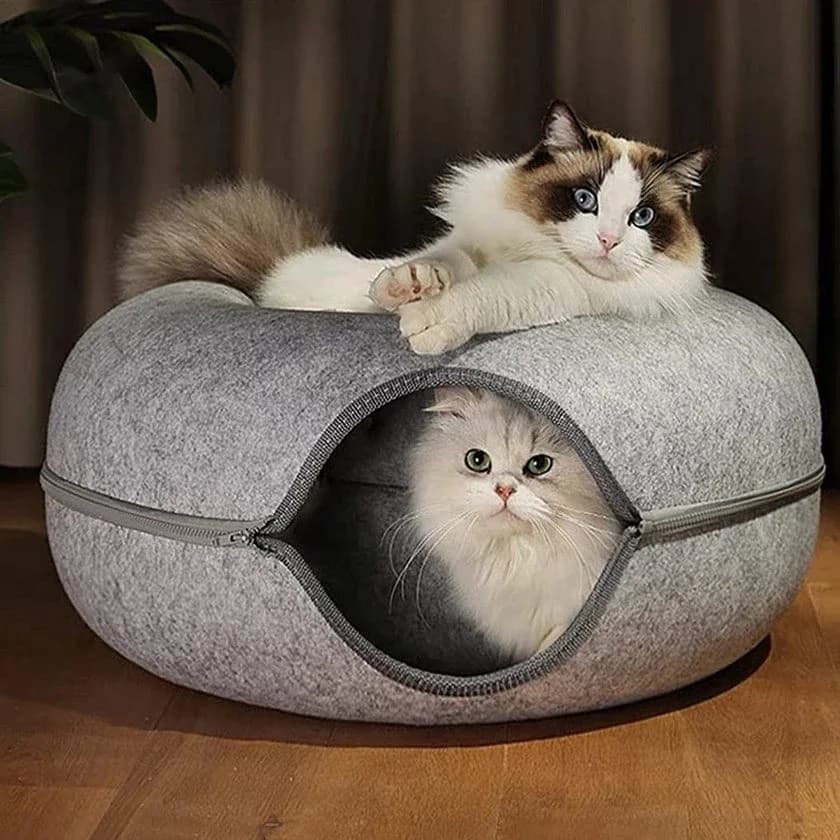 Cat Tunnel Nest