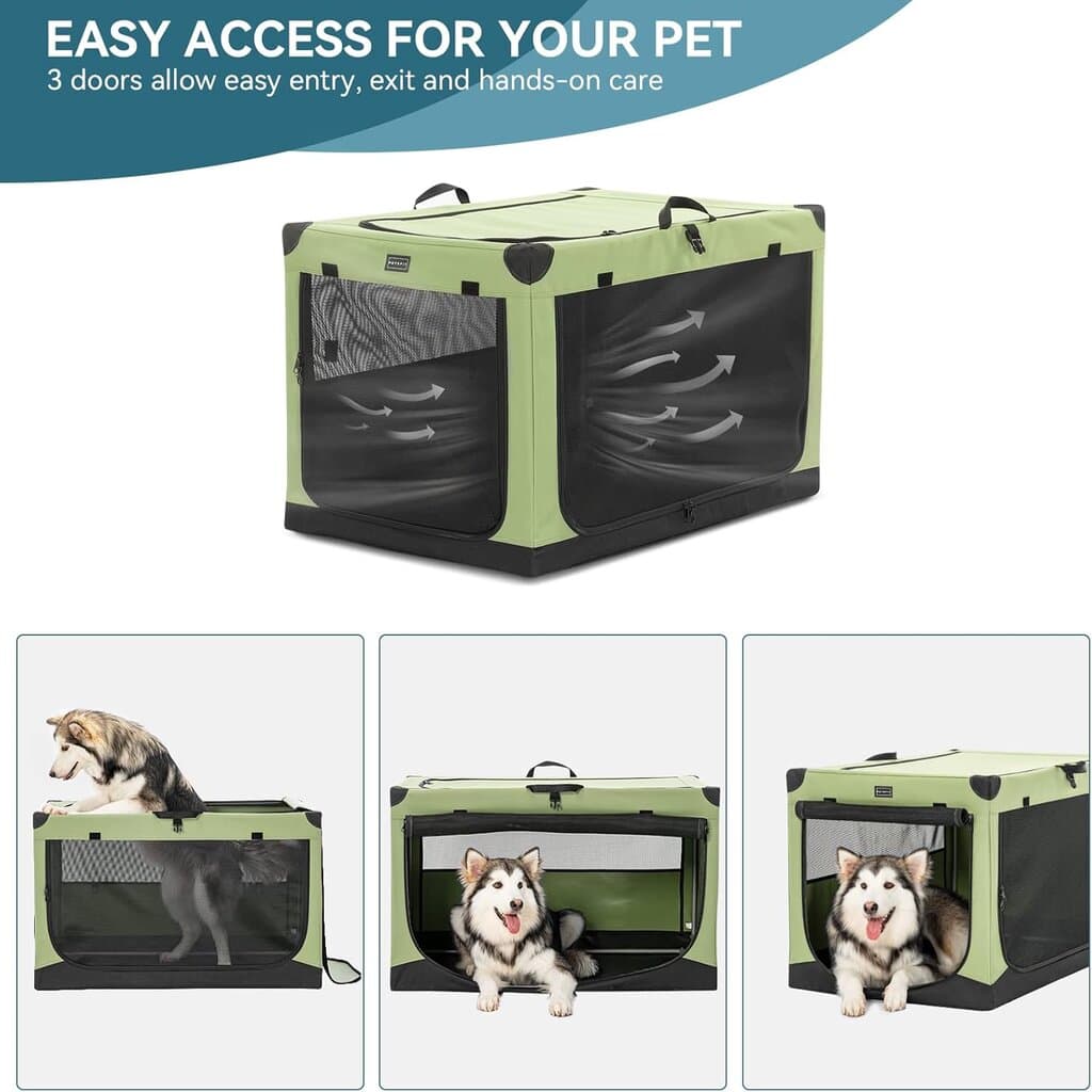 Pet Cage 4