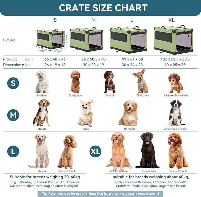 Pet Cage 5