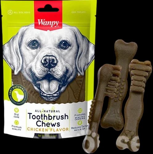 Dog snack with Toothbrush Chews Chicken Flavor - 100g