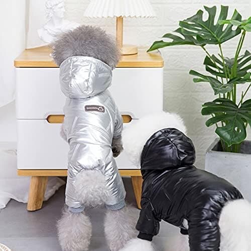 Pet Clothes - XXL​ 4