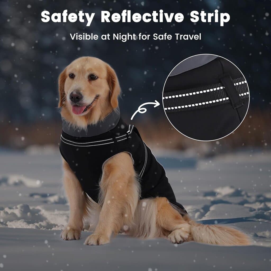 Dog Cloth - 4XL​ 6