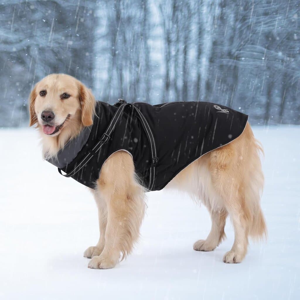 Dog Cloth - 4XL​ 3
