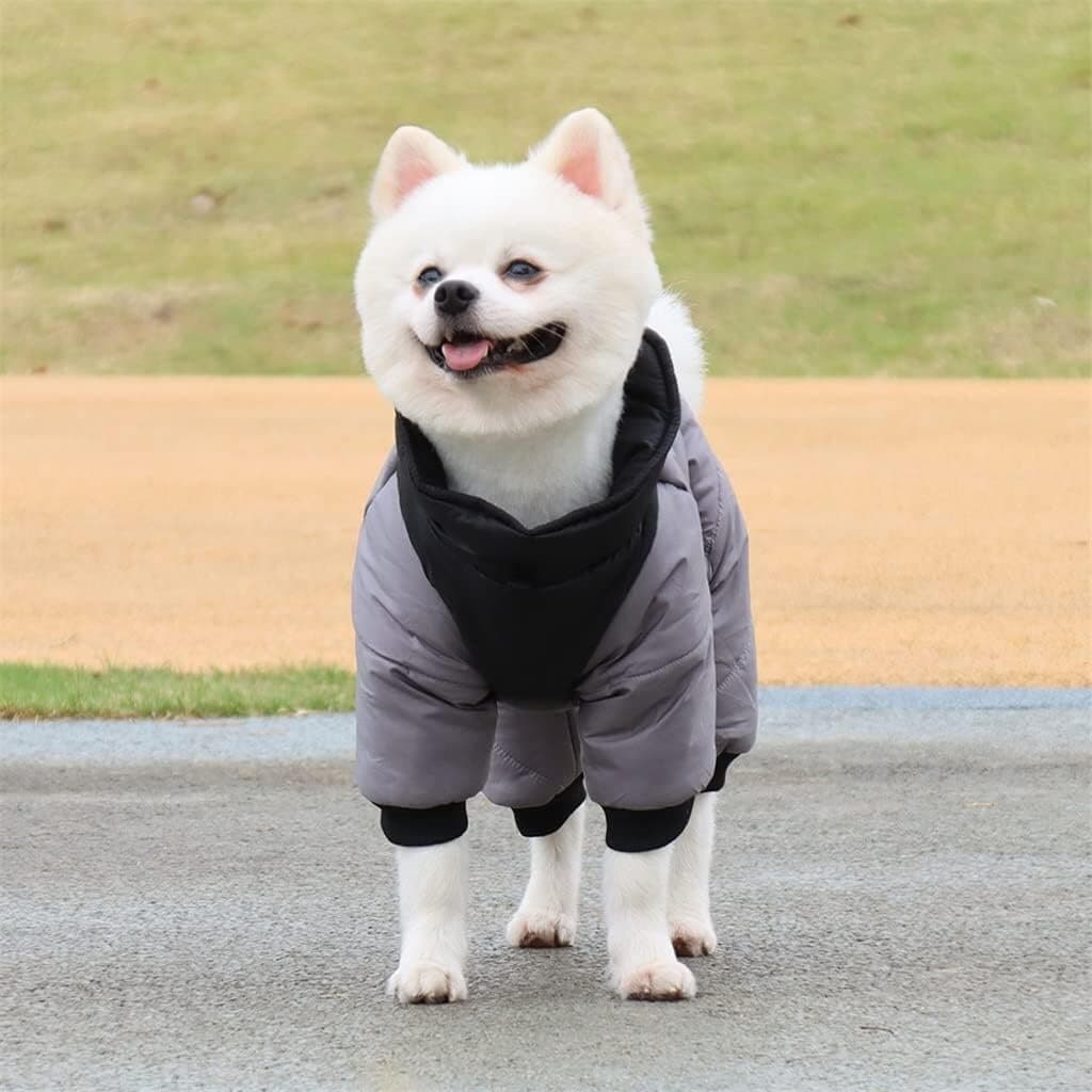Dog Clothes - XL​ 7