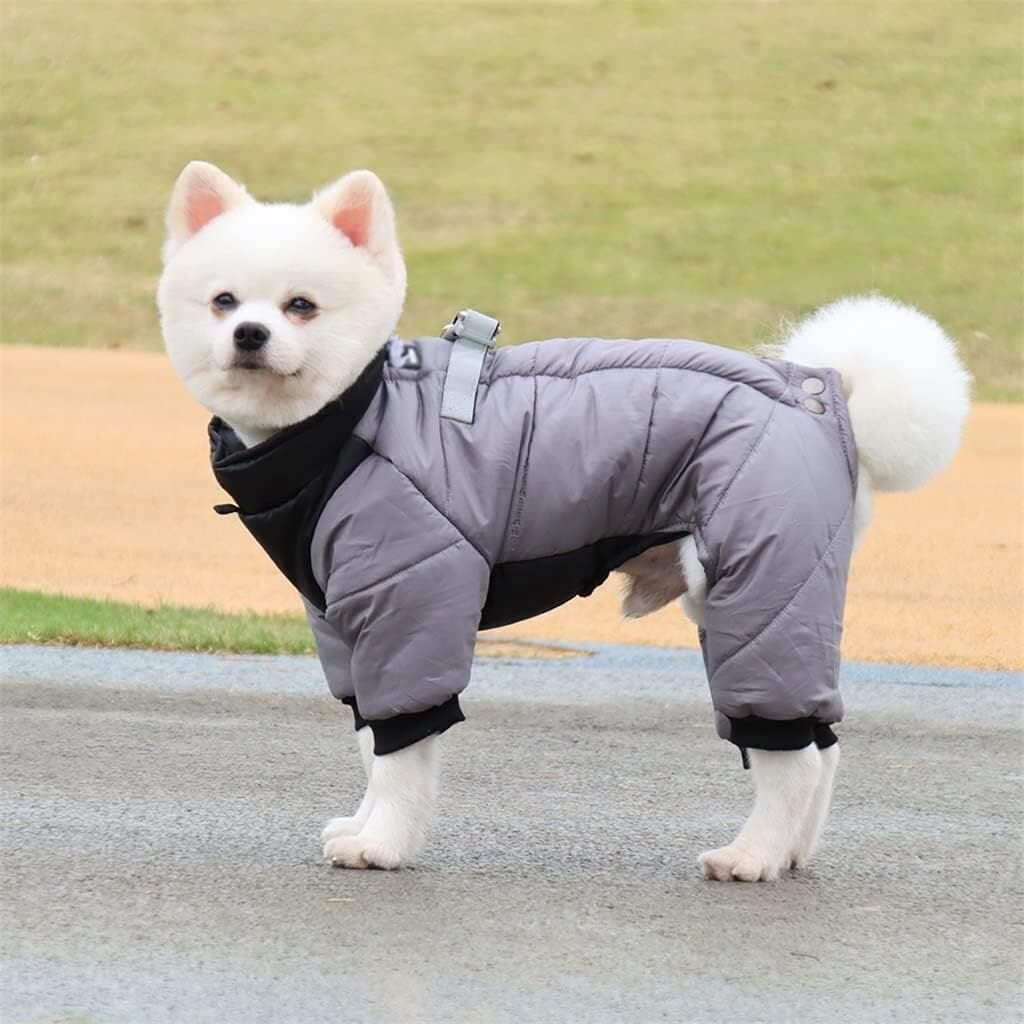 Dog Clothes - XL​ 3