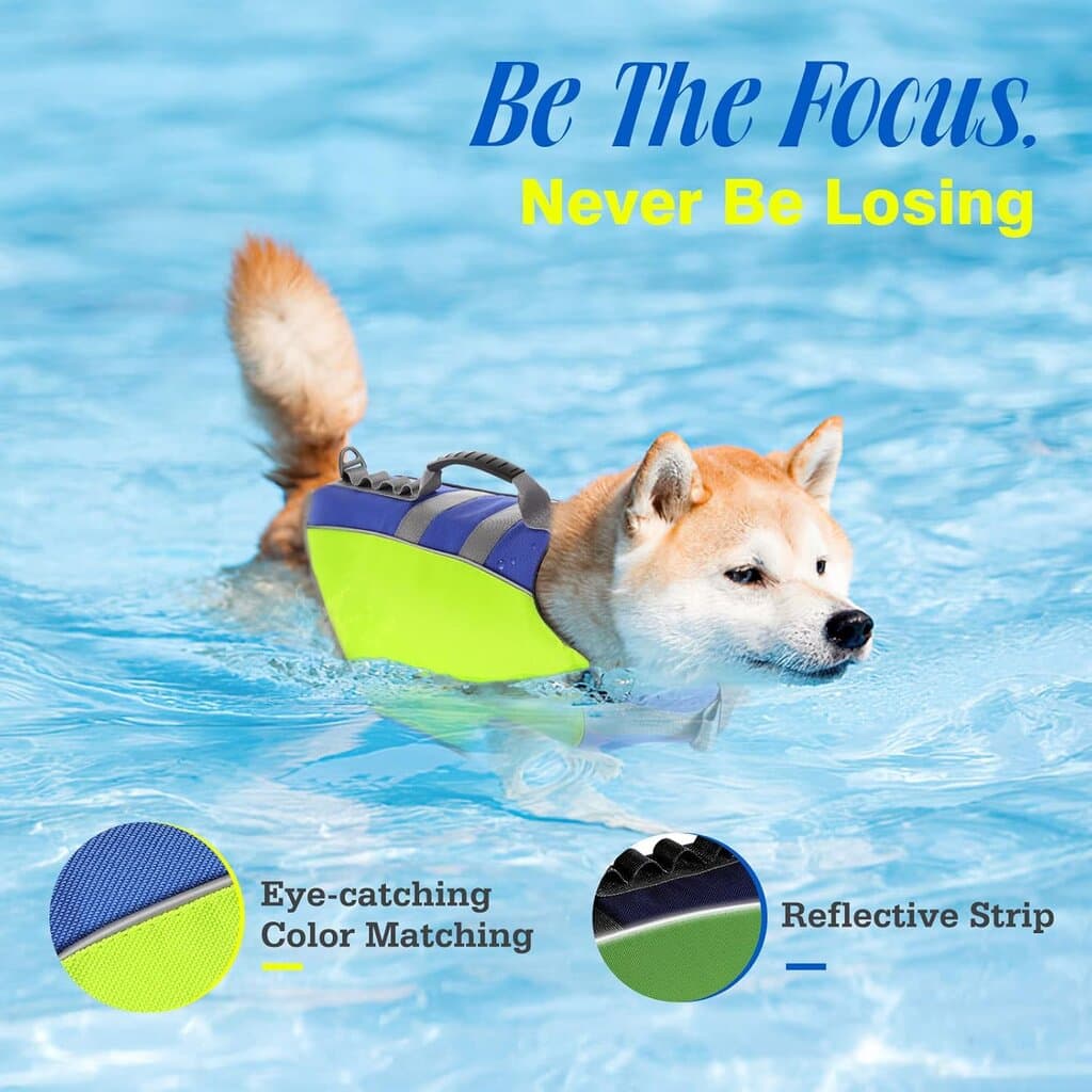 Life Jacket 4