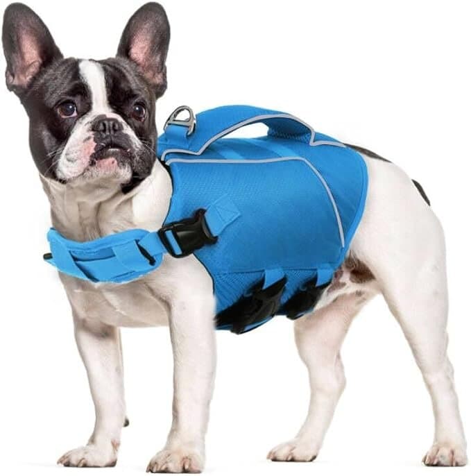 Life Jacket - M 4