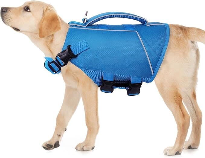 Life Jacket - M 7