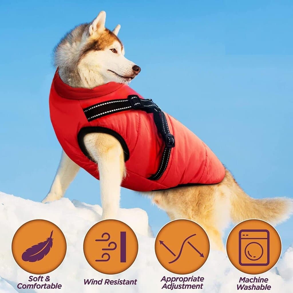 Dog Cloth - L​ 3
