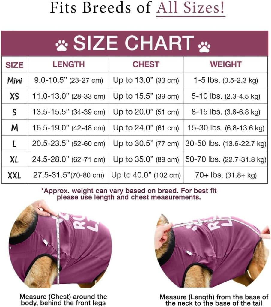 Dog Clothes - XS​ 2