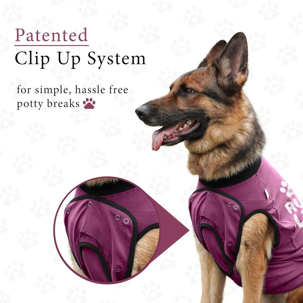 Dog Clothes - XS​ 5
