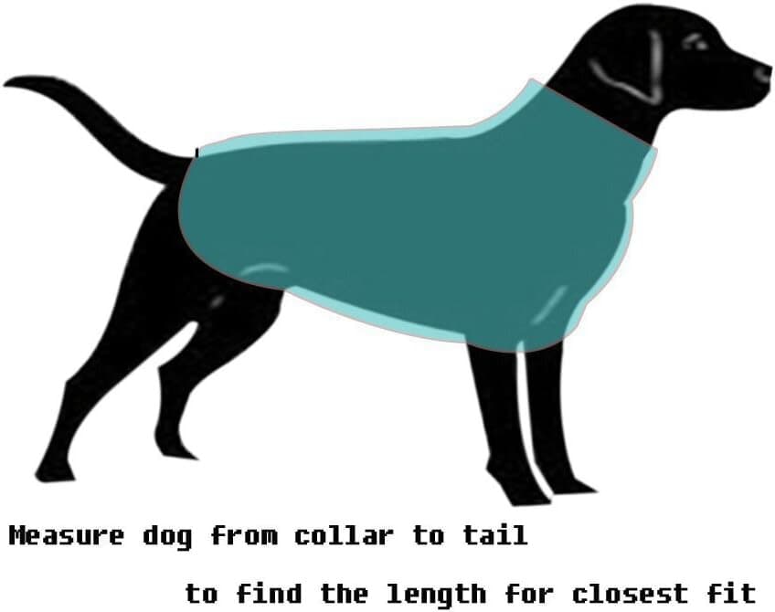 Dog Clothes 3