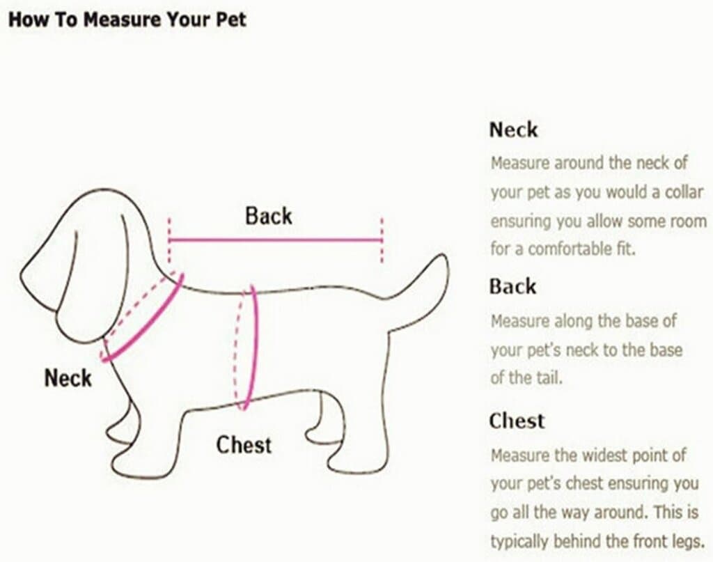 Dog Clothes 6