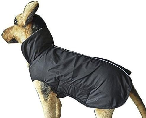 Dog Clothes 2