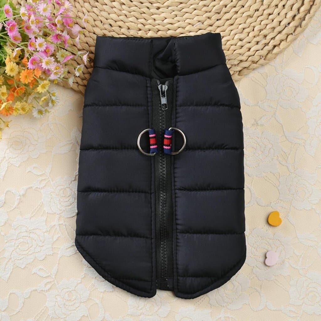 Dog Clothes 2
