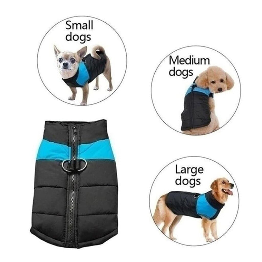 Dog Clothes 2