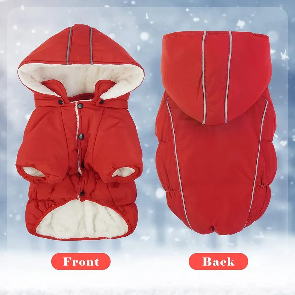 Pet clothes - 2XL 3