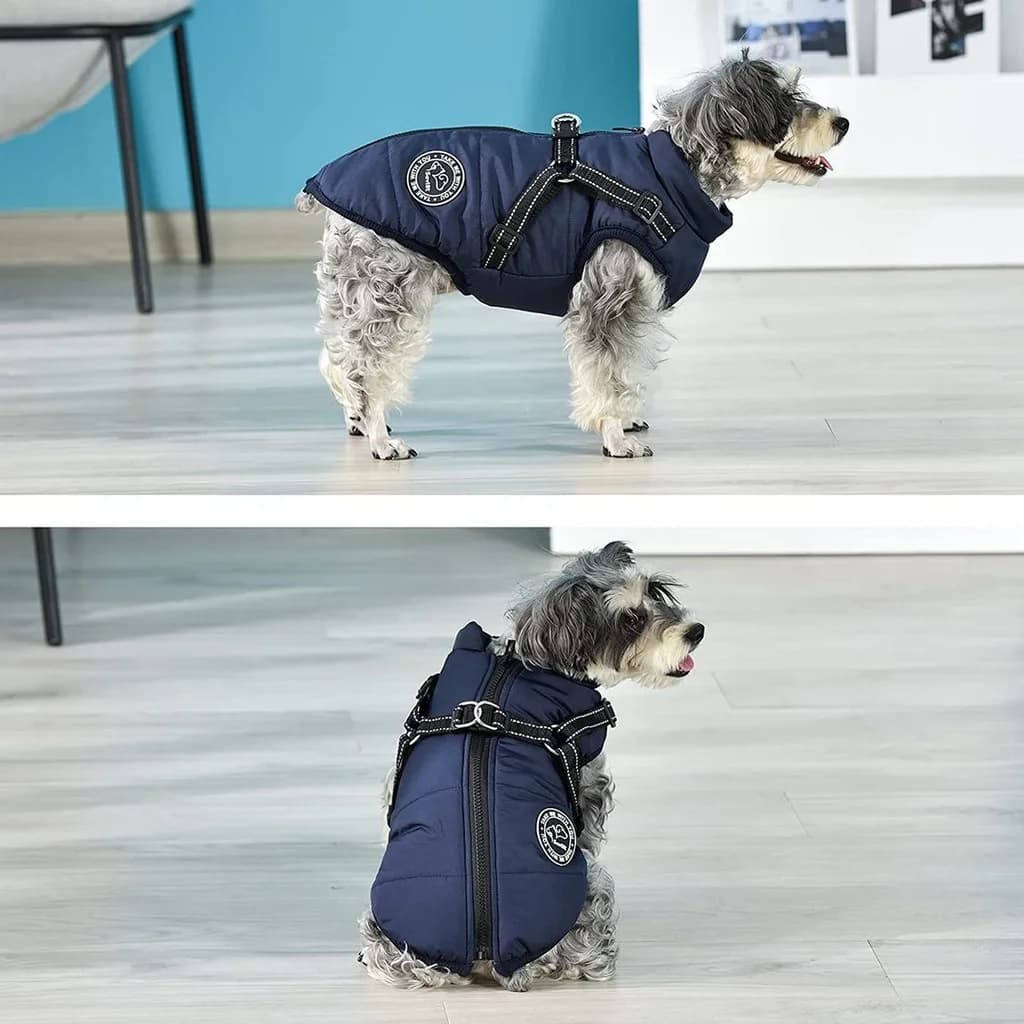 Dog Jacket
