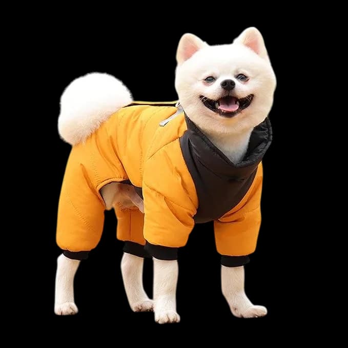 Dog jacket 4