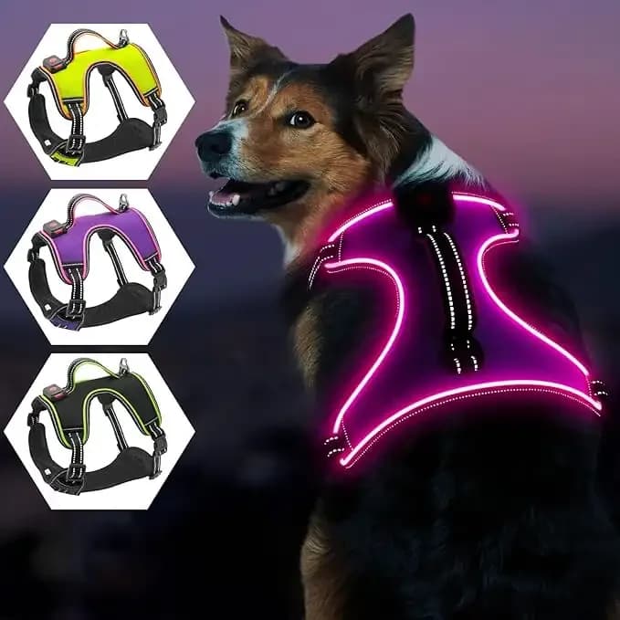 Adjustable Dog Vest - M​