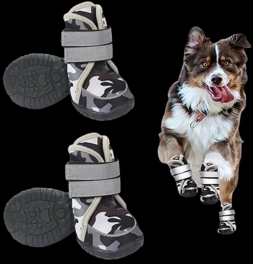 Dog Shoes - L​