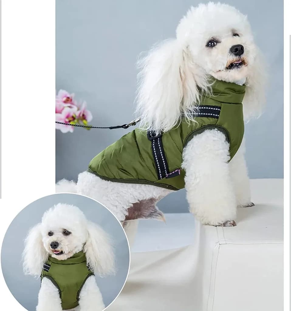 Pet jacket 2