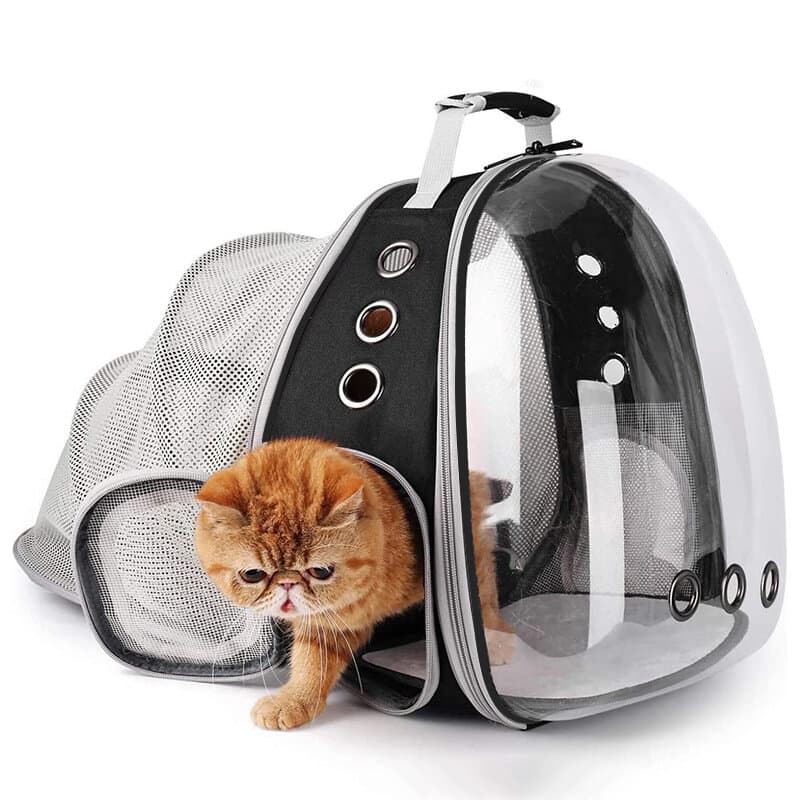 Pet Bag 4