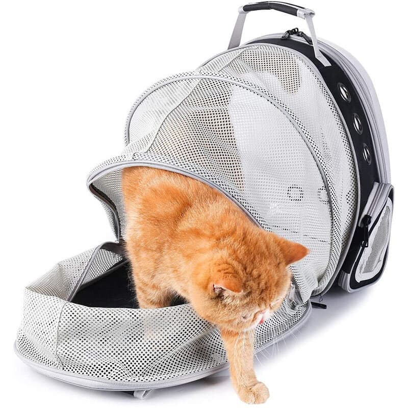 Pet Bag 6
