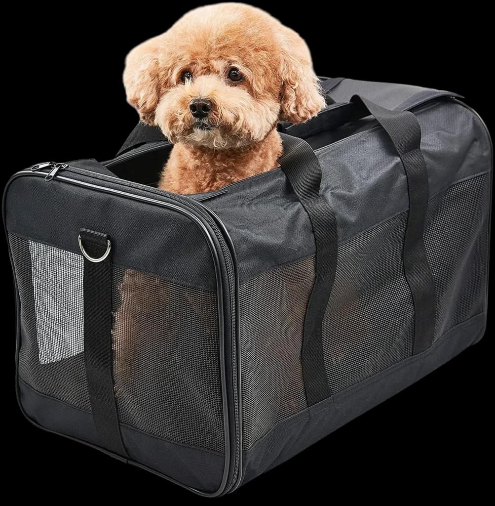 Pet Carrier Bag