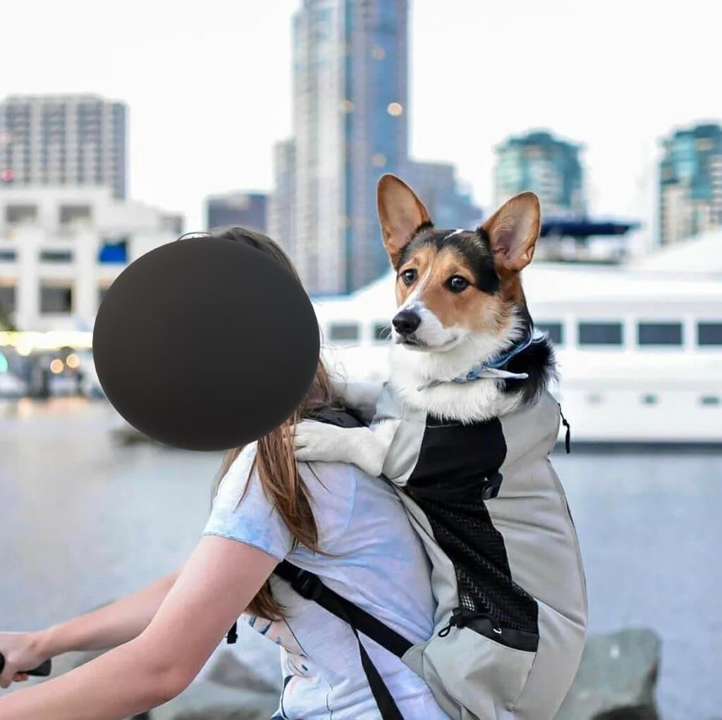 Pet Carrier Bag 7