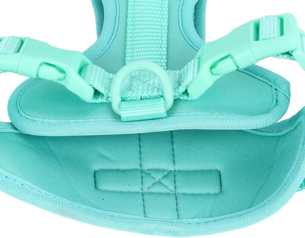 Harness 8