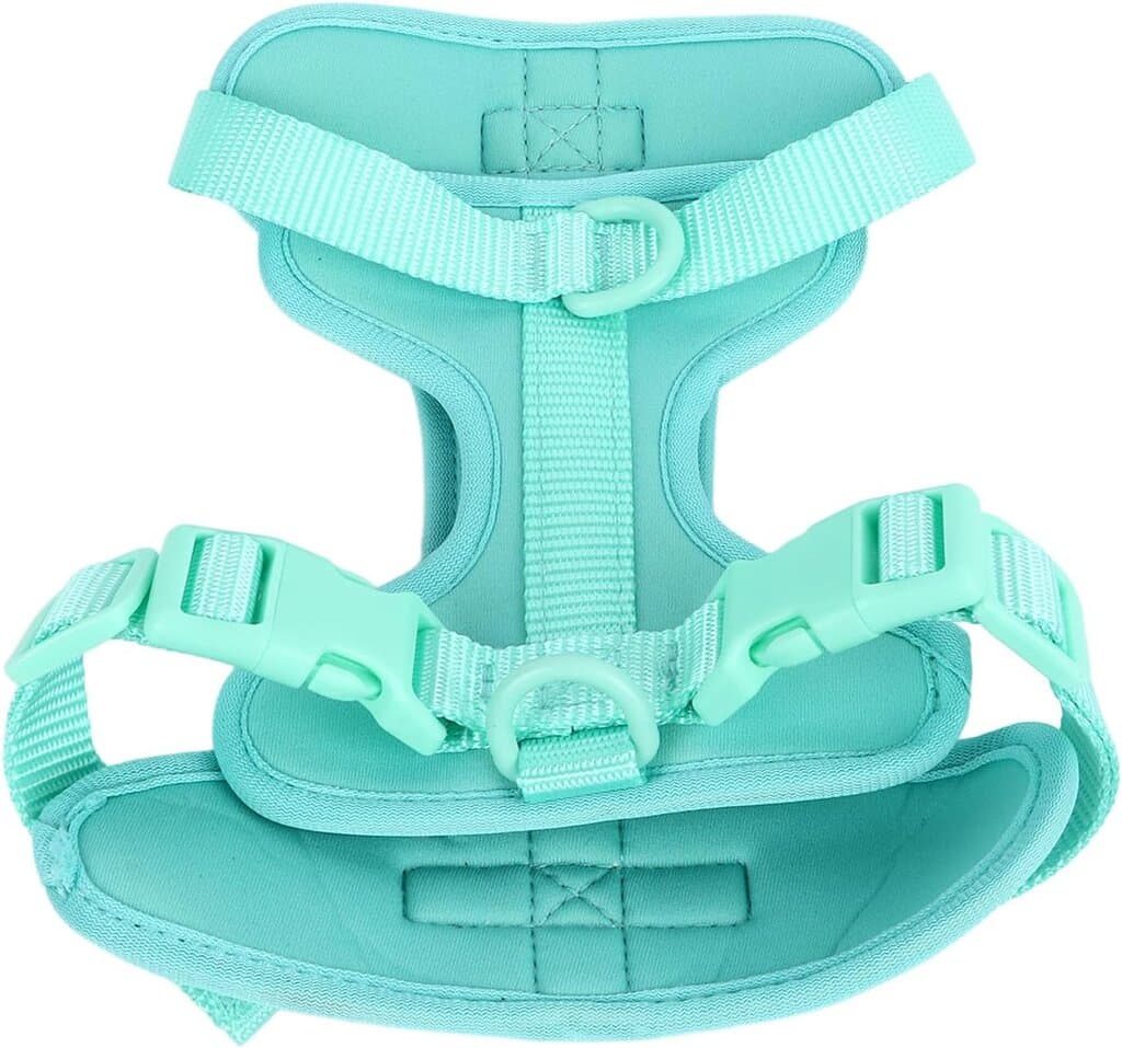 Harness 2