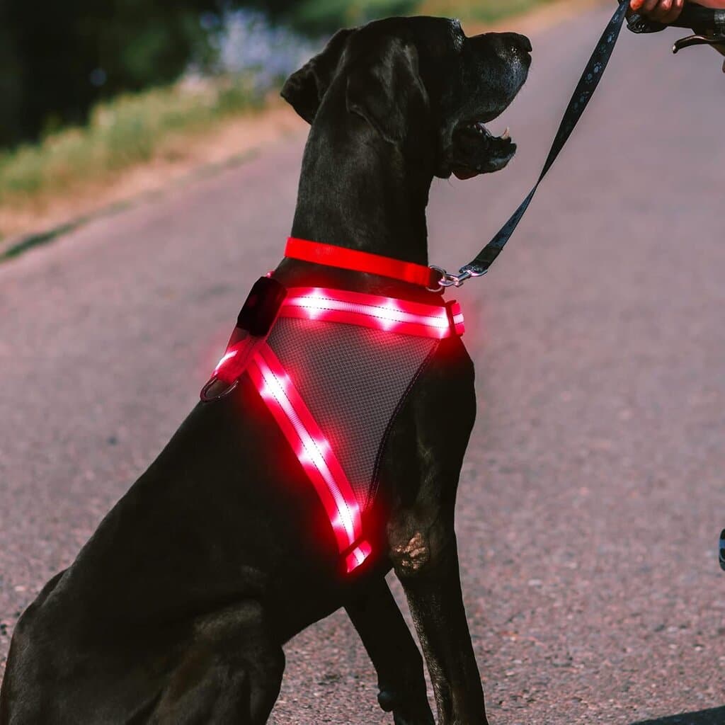 Harness LED - L​ 3